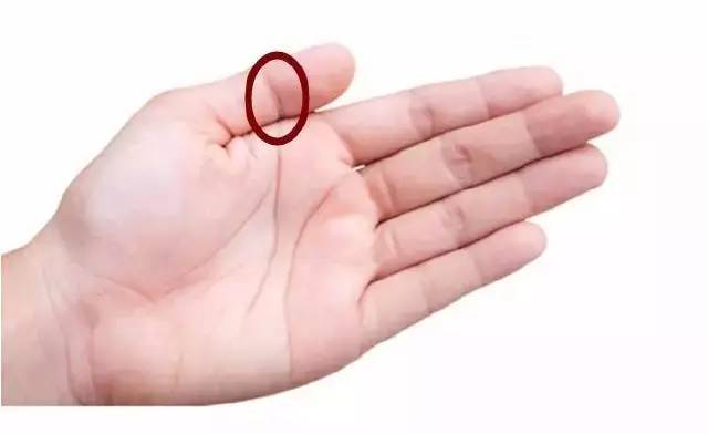 �ֻ����������ķ�����Ӱ�����ƺ������Ҹ��̶���