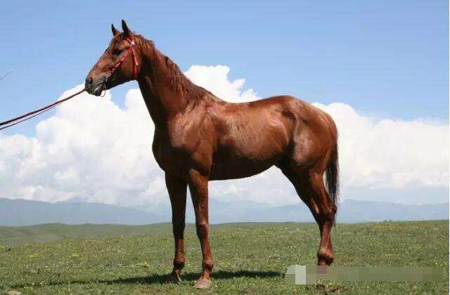 סլװ��Ҫ����ˮ��