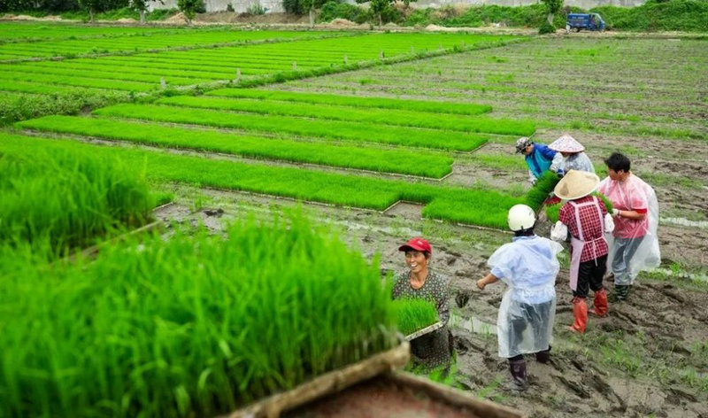 12126���Ƽ�����Ļ�Ӱ�����ǵ����ƺ������������˱��е�����������ʲô