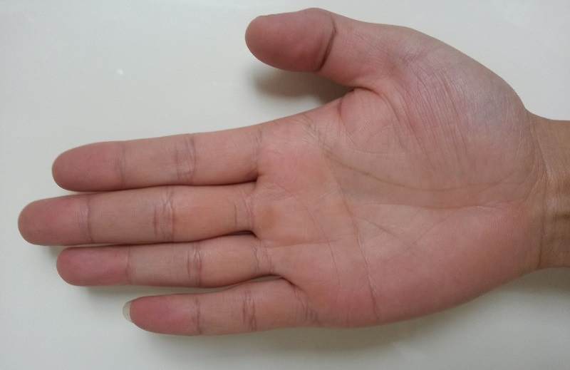 2025��С������Ф���ƻ��ܵ�ţ���Ӱ��(2025��С������Ф���ƻ᲻���������Ѿ���)