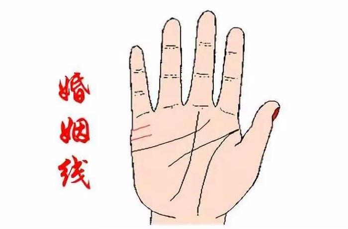 ��Ф�����2025�� ���˼�Ȣ�����ӽ���