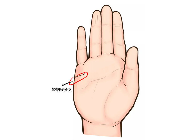 2025���������˲���