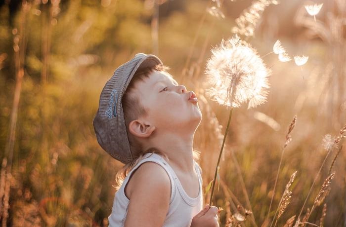 2025��ţ����11�³������� ��ţ����11�·ݳ����ò���