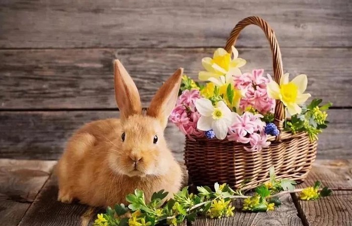 Ů�����Լ������ִ�ȫ�ܻ�������䶯��Σ��(Ů�����Լ������ִ�ȫ�ܻ�������䶯��Σ��)