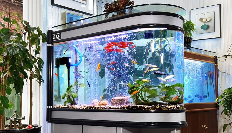 白羊座败坏感情的惯用伎俩! 白羊座败坏感情的惯用伎俩!