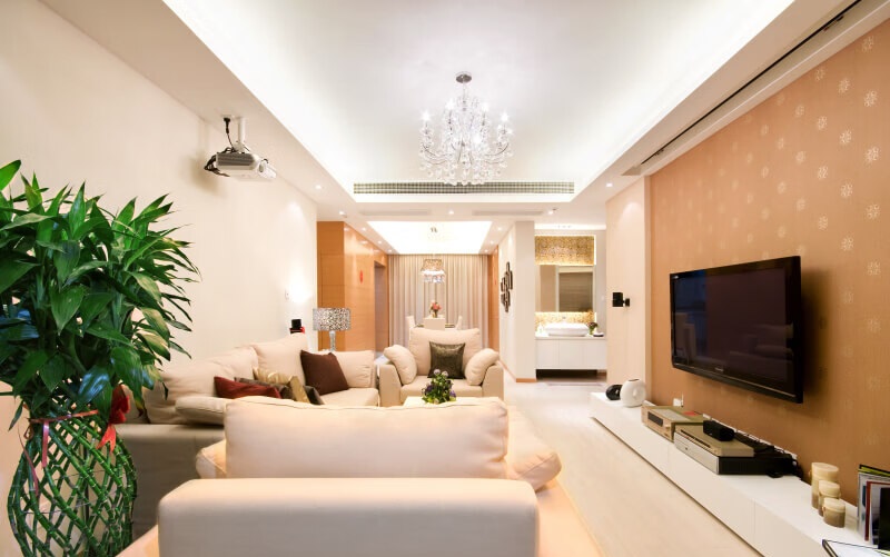 ��ţŮ��ʲô�������� ��ţ��ʲô��������1973