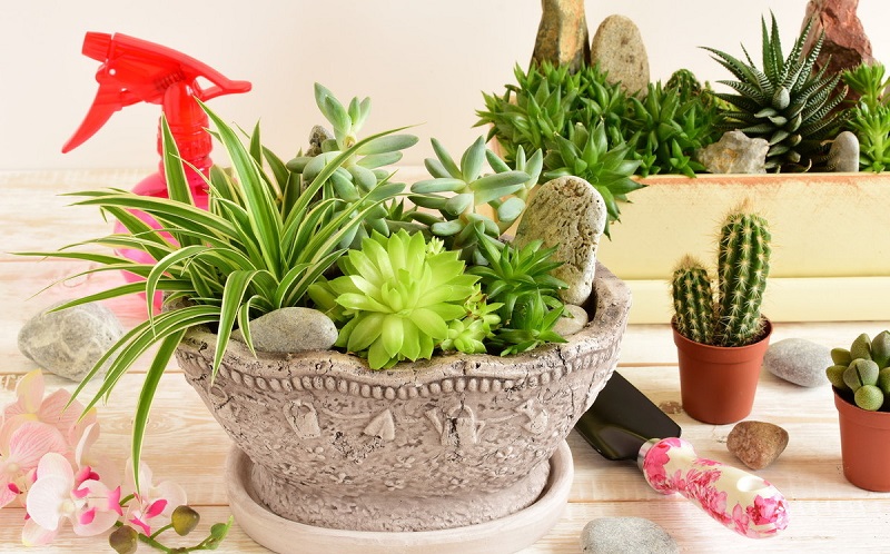 如何判断风水优劣 房屋风水吉祥迹象一览 如何判断风水优劣 房屋风水吉祥迹象一览