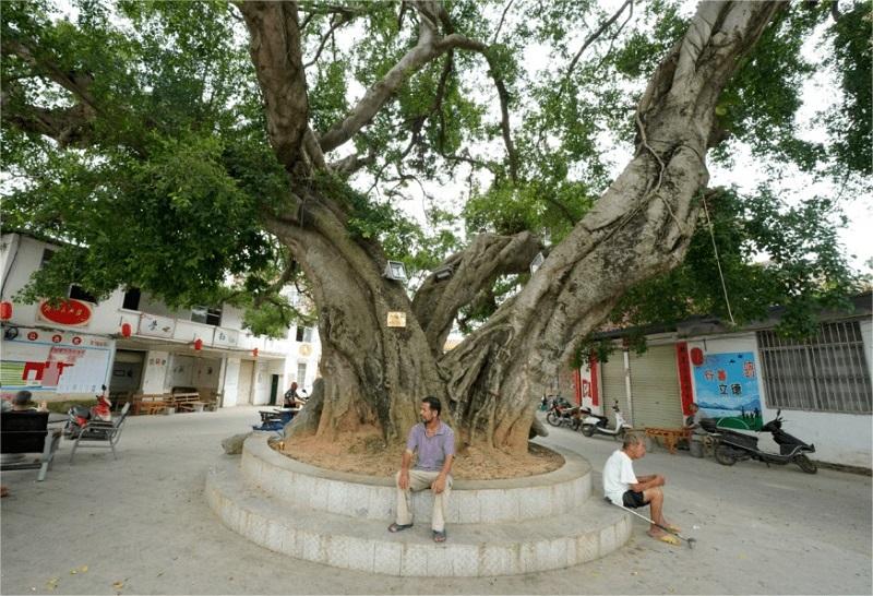 Ů������Ľ���ü��� �����½�����