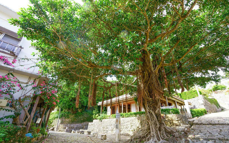 太阳的后裔女二号扮演者太阳的后裔女二 太阳的后裔女二号扮演者太阳的后裔女二