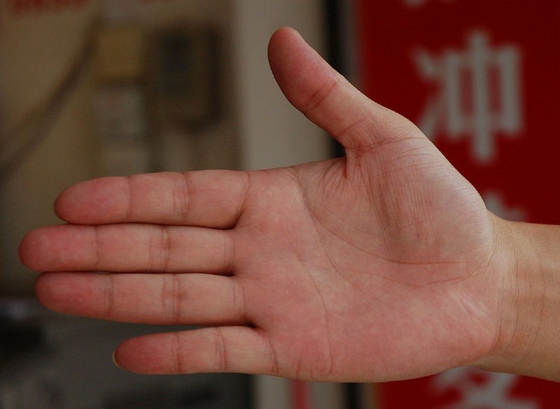 ��ʫ��Ϊ��ѡ�񲻽��