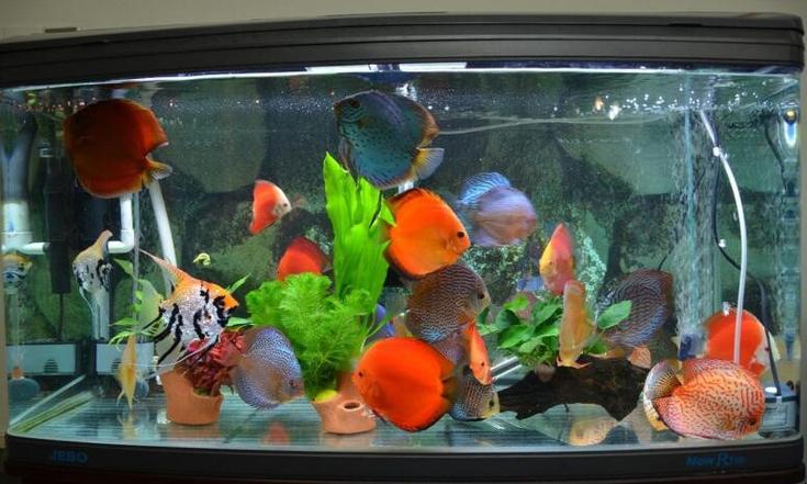 化解事业不顺的风水 化解事业不顺的风水