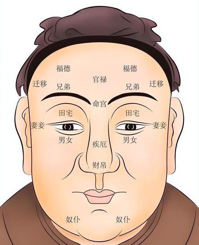 ��һΧ���쵤��ͷ������һΧΪ�β����쵤 ��