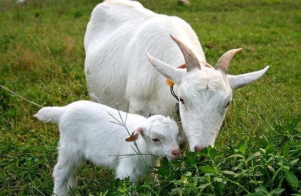 �ҵ�ǰ�����ڶ������