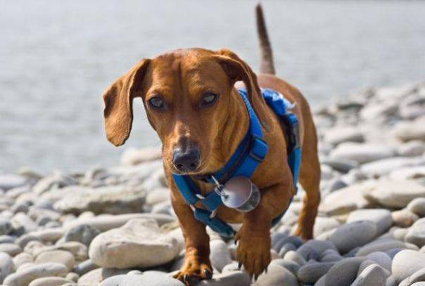 ������ͬ��ͬ�յ����ж��ٻ�Ӱ�����ǵı�����ʶ(������ͬ��ͬ�յ����ж��������Ų�Ϊ��֪������)