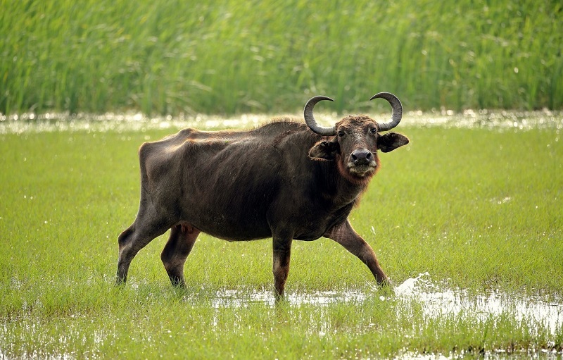 �����˺���Ե�ֵľ��� �й�Ե�ֵľ���