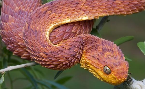 ��î���ͷ��Ժ����ѱ���������������Ļ�Ӱ���������