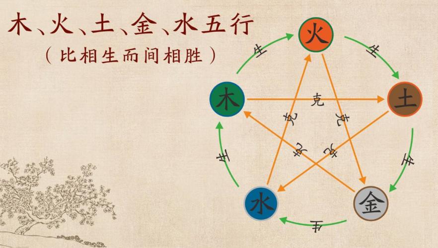 �����������ֻ������� �������ע������