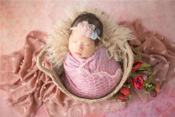 锦是男孩名字还是女孩名字 2026最旺女孩姓名属兔 锦是男孩名字还是女孩名字 2026最旺女孩姓名属兔