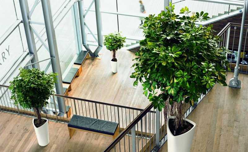 大家都在关注车牌号数字8658吉凶究竟会对生活带来怎样的影响和变化呢 大家都在关注车牌号数字8658吉凶究竟会对生活带来怎样的影响和变化呢