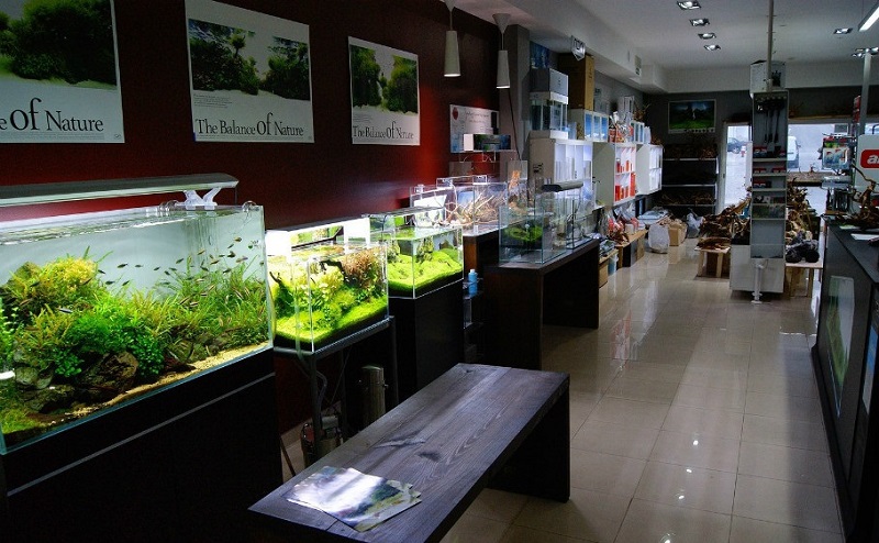 ���Է�ˮӦ������ ʵ������ʹ�÷�������