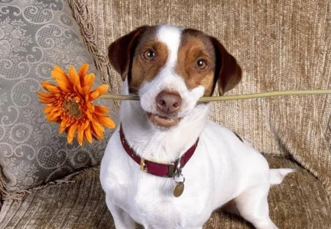 �׻���ˮ���ӽ� �׻�̧ͷ��λ��ⷨ