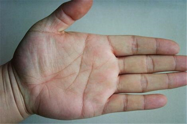 ������ѻ���������� 1994�������ĺ�ʲô��������