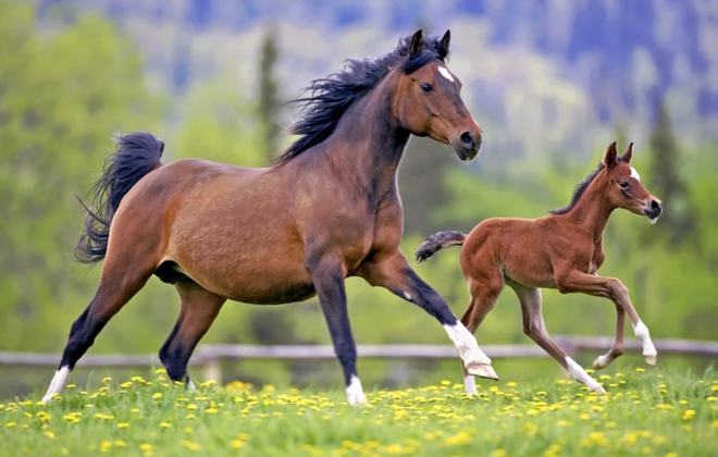 2025���ƺ��뼪�׻�Ӱ���г���ȫ���������˲����е��ͺ���