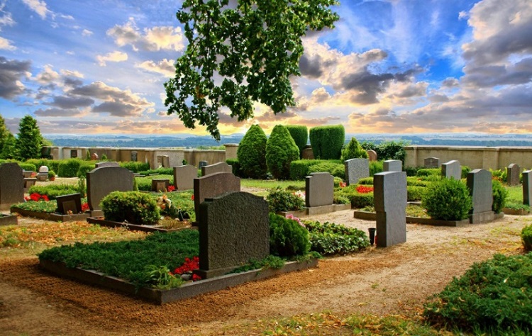 ������2025��Ѱ������� ������ΪʲôҪ������