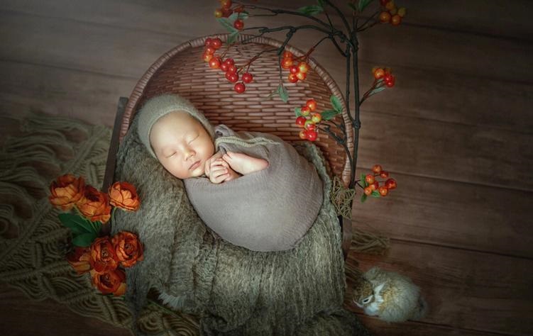 ���ֻ������Ʒ�������������