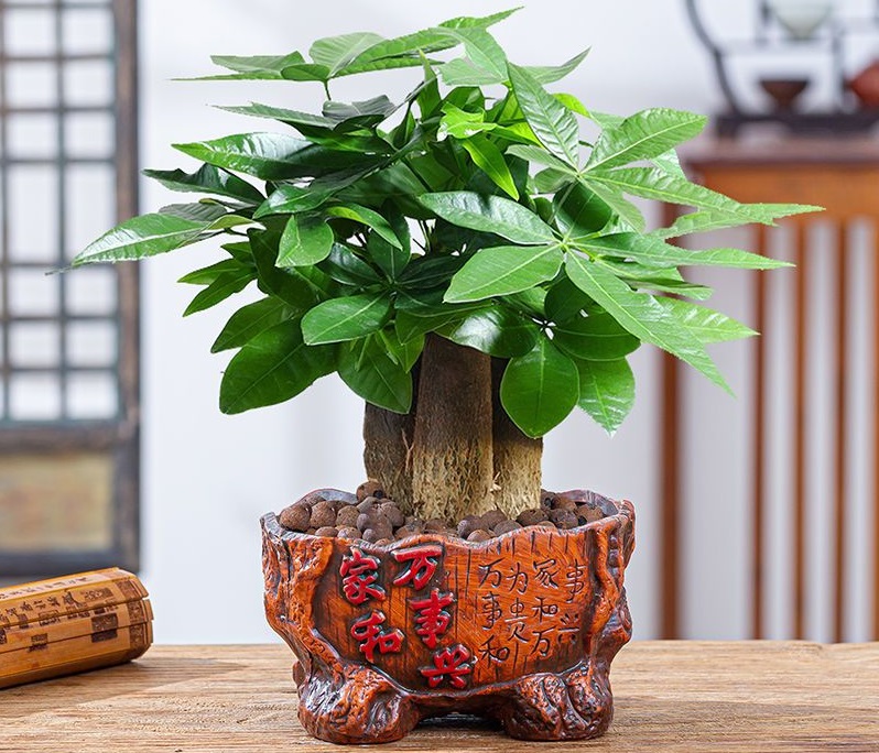 上升星座查询一下 上升星座查询一下