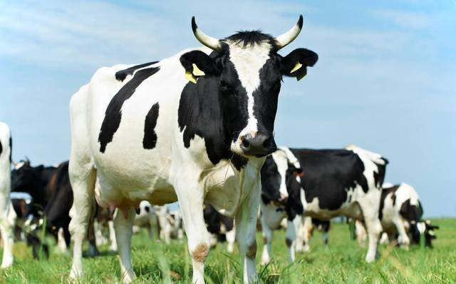 2025��ݻ��̫ⷸ����ѷ������������������(����2025��ݻ��̫ⷸ����ѷ�����������������)