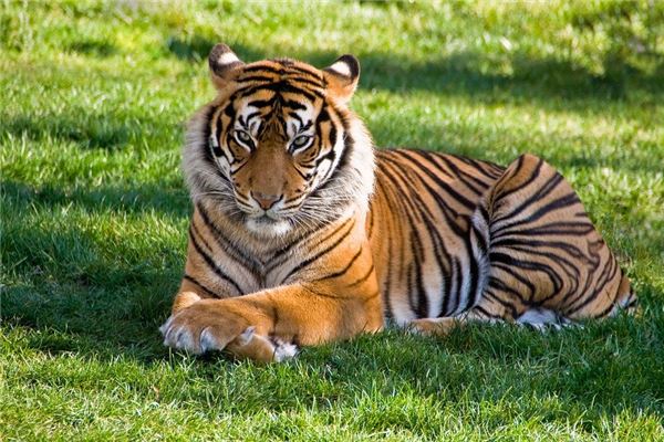 诸葛亮测字算命离宫讼变暗示伴侣角色冲突的隐忧(诸葛亮测字算命离宫讼变影响伴侣关系的五行之争) 诸葛亮测字算命离宫讼变暗示伴侣角色冲突的隐忧(诸葛亮测字算命离宫讼变影响伴侣关系的五行之争)