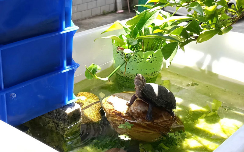 Ȩ���ӵ�Ӱְҵɱ��Ȩ���ӳ���������ݻ���