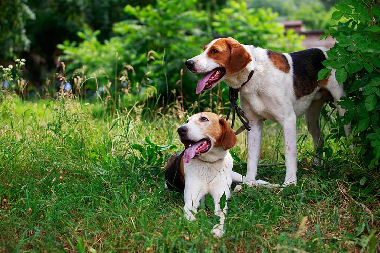 1980��Ф��Ա��и�������˼ʹ�ϵ����ҵ��չ��������ЩǱ������