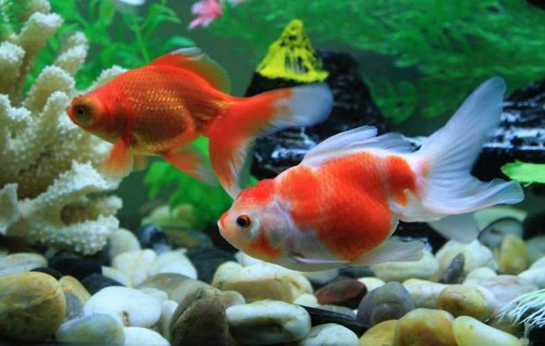 ����Χ��������ϼ��