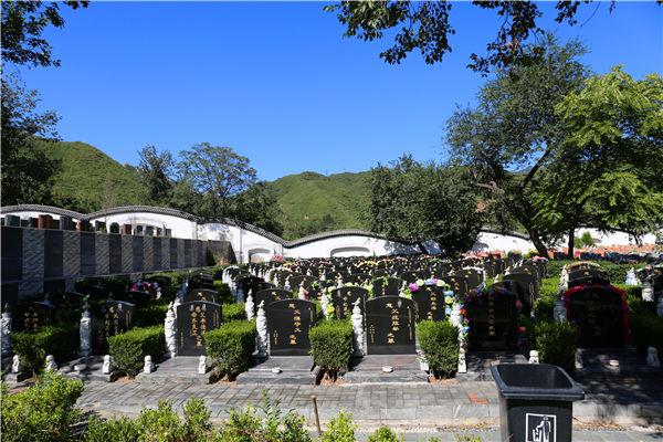 2025取名周易影响恋爱空间需求的五行平衡问题(2025取名周易让恋爱空间更加和谐) 2025取名周易影响恋爱空间需求的五行平衡问题(2025取名周易让恋爱空间更加和谐)