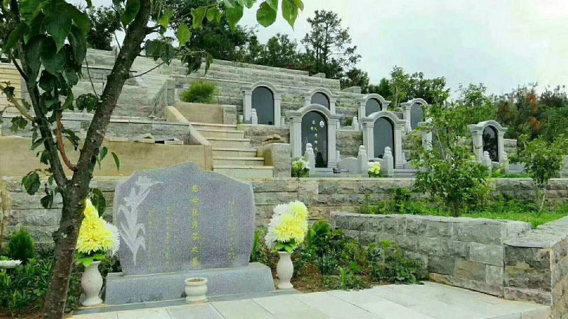 张姓男演员(韩国张姓男演员) 张姓男演员(韩国张姓男演员)