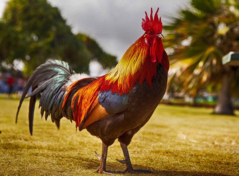 �����٤��Ա��Ů����