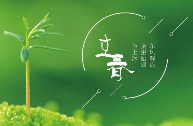 2006���������2025�����·����� 2006�������2025������