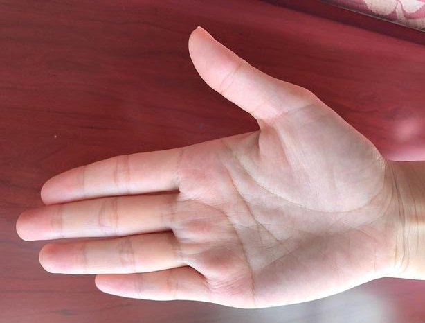 �ò�������12�����������