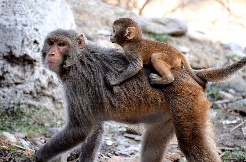 2025男孩姓林起名会影响婚后社交关系的光明前景(2025男孩姓林起名会影响婚后社交关系的光明前景) 2025男孩姓林起名会影响婚后社交关系的光明前景(2025男孩姓林起名会影响婚后社交关系的光明前景)