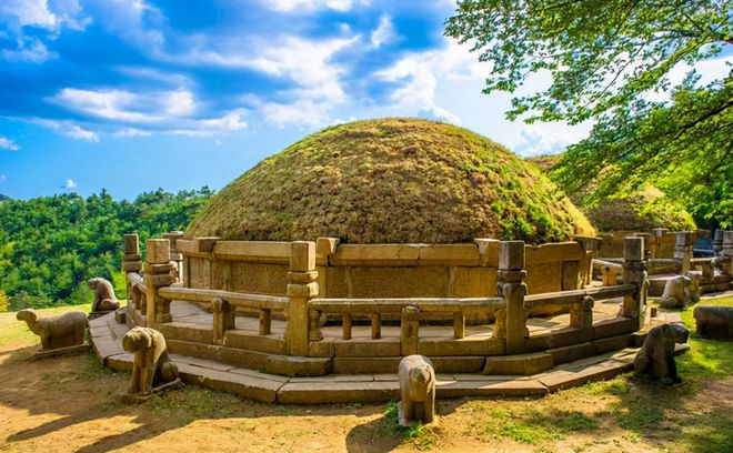 ����������������˾������Ϊ����ͥ������г����(����������������˾������Ӱ���ͥ��г��Χ)