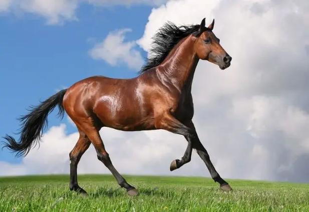 2025��11��6�ճ�ʱ�����к� 2025��11��6�ճ������к���