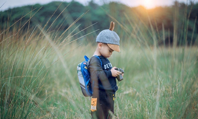 ��Ф����Ա��������Щ��ݵ���Կ��ܻ�������ȶ�����й�ϵ