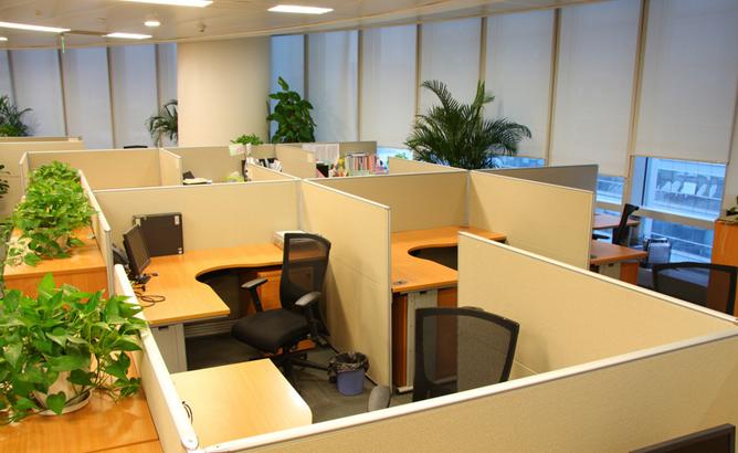 免费算命生肖龙帮助提升个人魅力真的有效(免费算命生肖龙会影响魅力提升呢) 免费算命生肖龙帮助提升个人魅力真的有效(免费算命生肖龙会影响魅力提升呢)