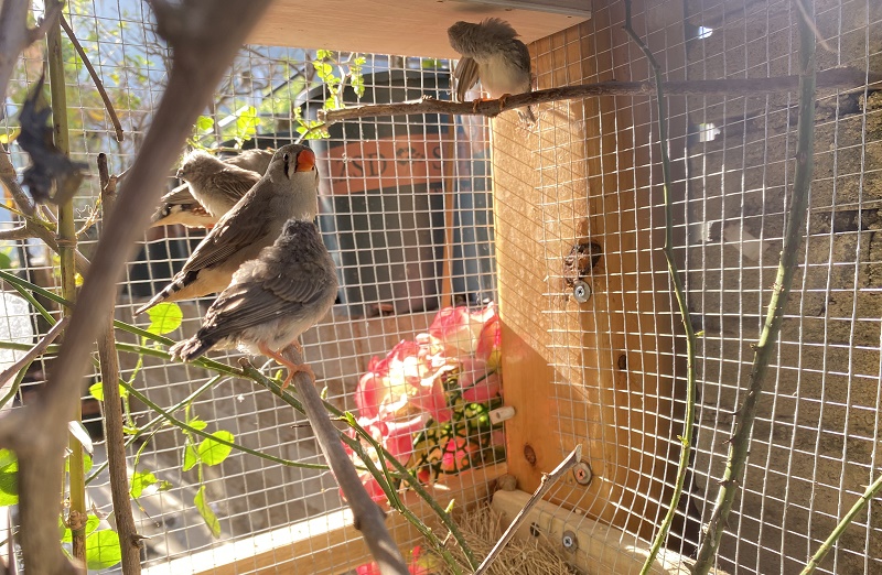 ���ַ�ˮ�����������а���