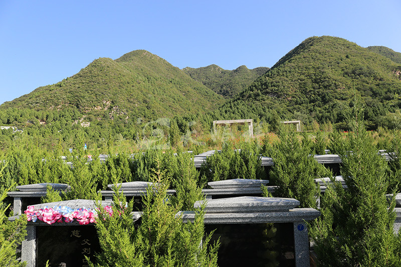 �������ɷ�(�������ɷ���˭ͼƬ)