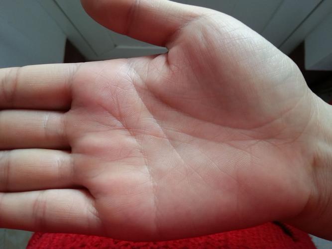 2025��12��12����֤���պ�ô 2025��ũ��ʮһ��ʮ�ſ�����֤��