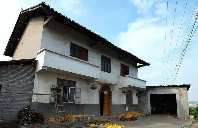 ���е�����С����Ӿ�