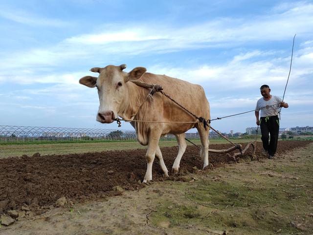 1982��������Ի�Ӱ�����ǵĸ������������������ҵ����ʺ��Լ��İ���